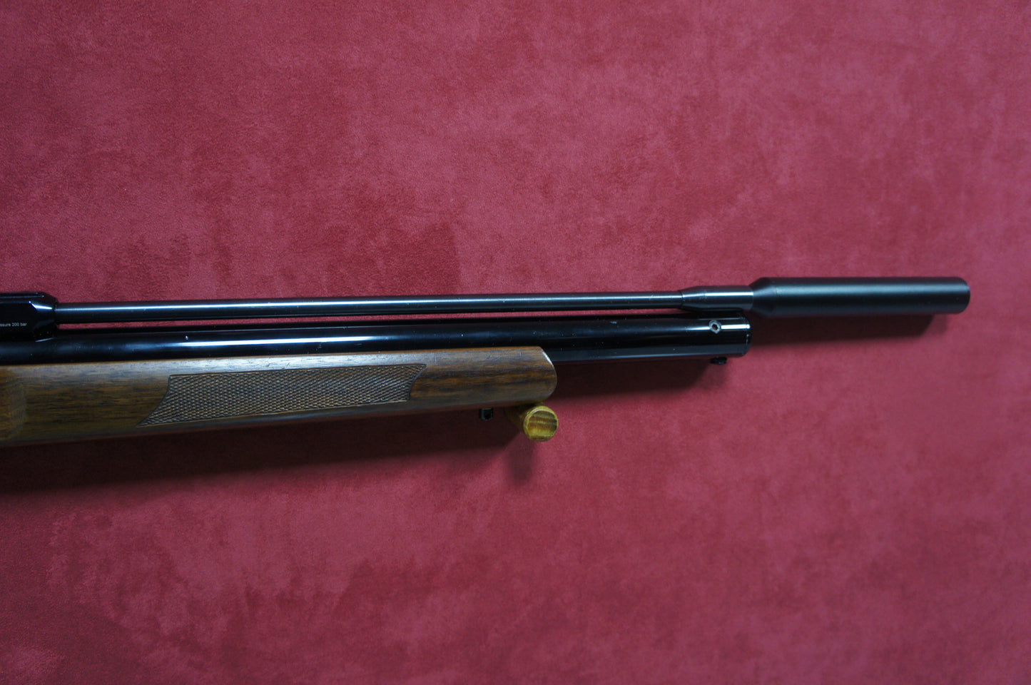 .22 Logan Axsor
