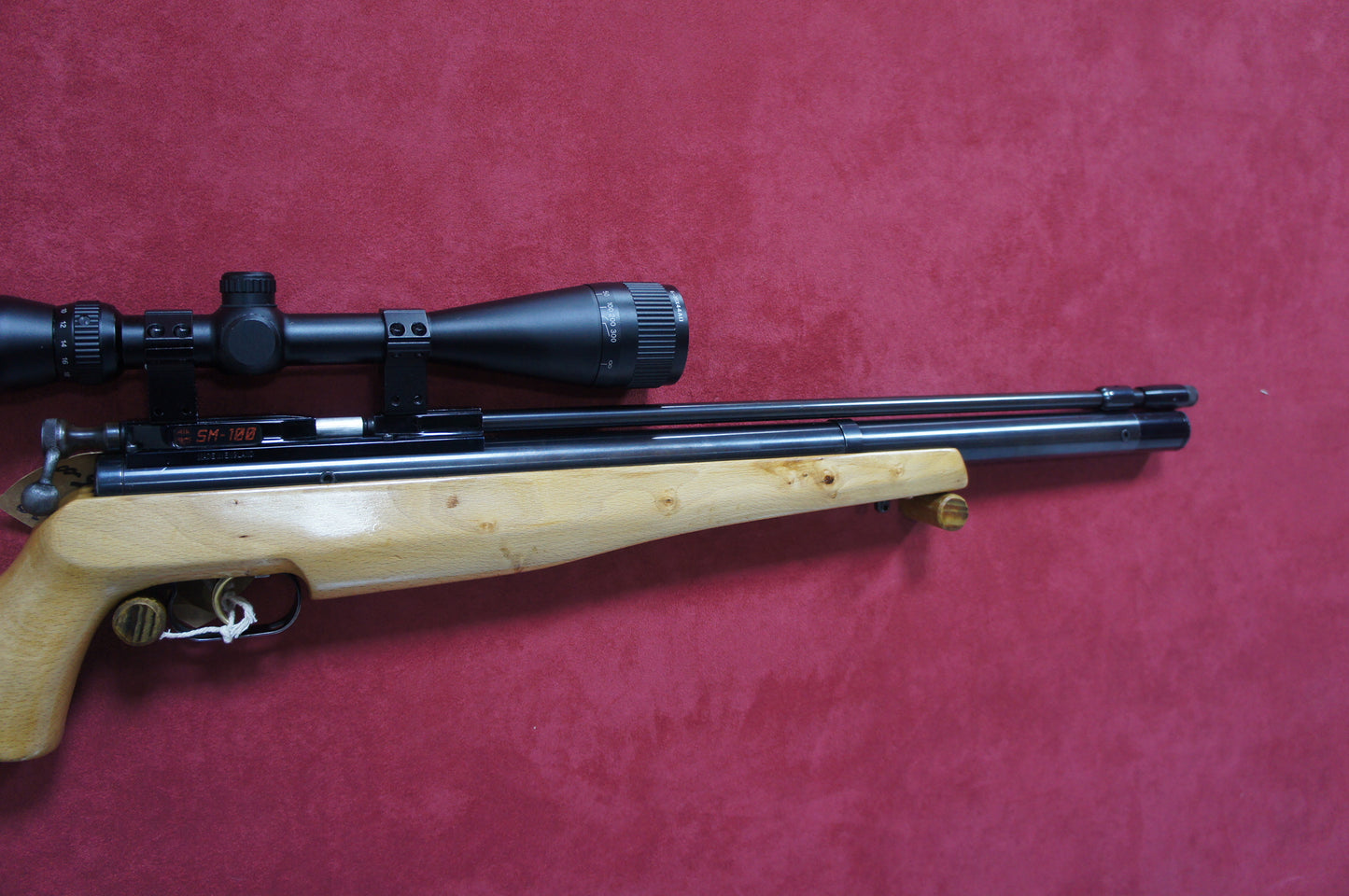 .22 Air Arms SM100