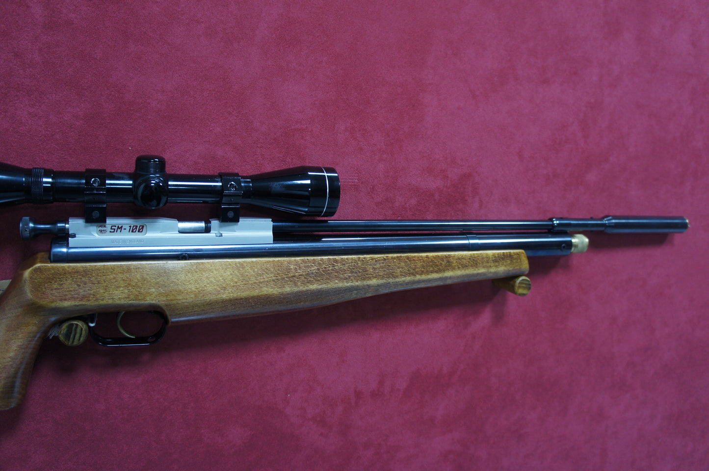.22 Air Arms SM100
