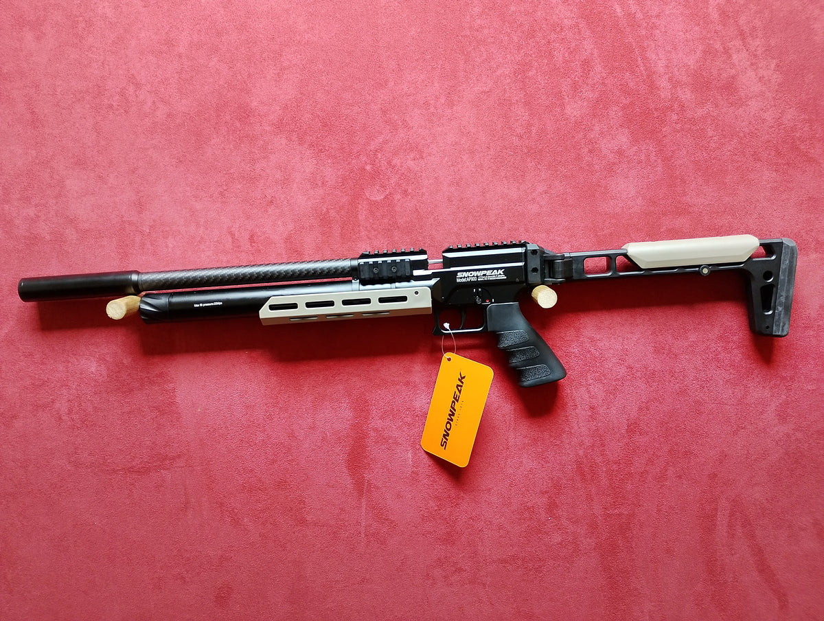 .22 Snowpeak AP900