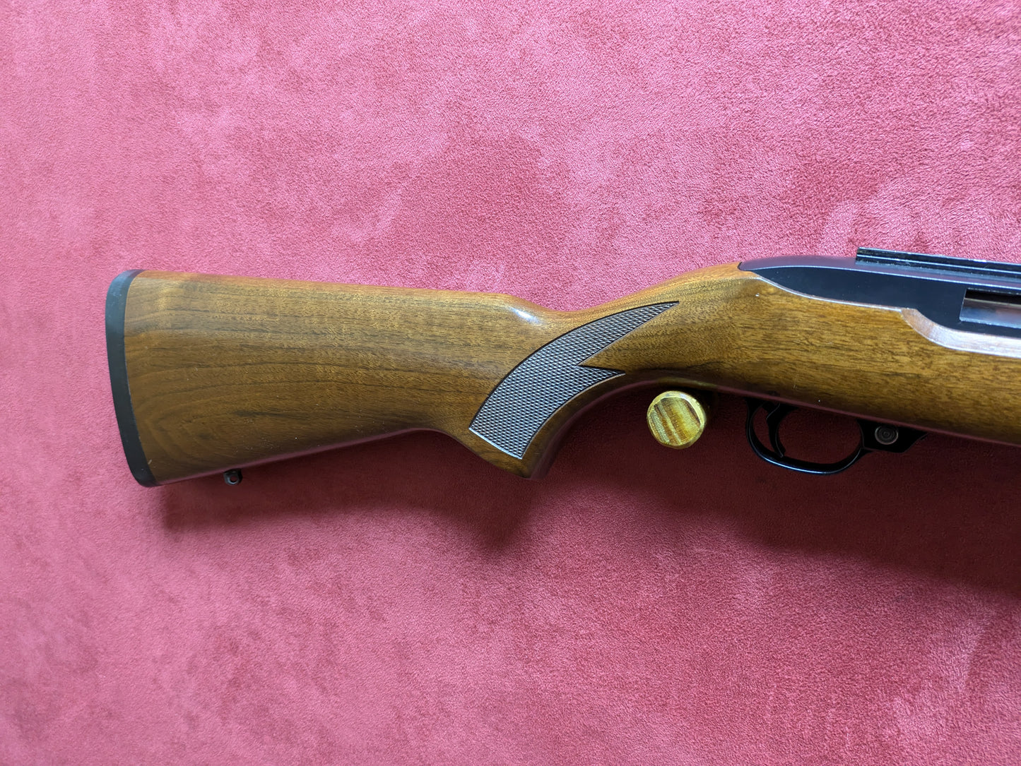 .22lr Ruger 10/22
