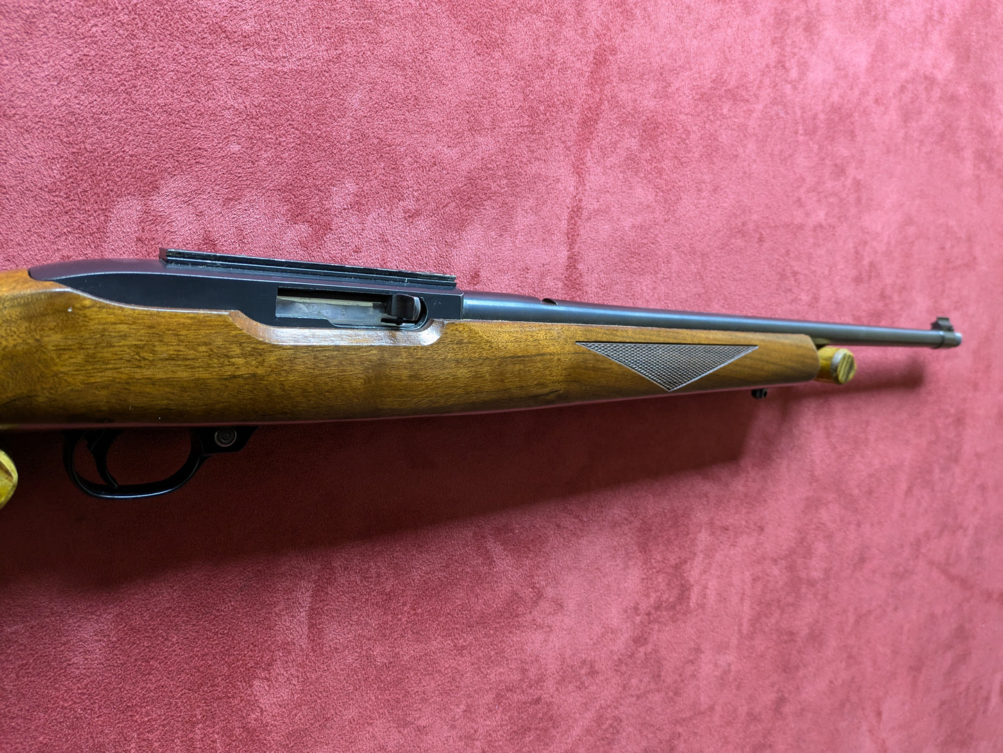 .22lr Ruger 10/22