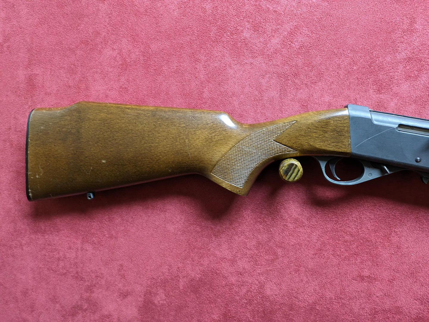 .22lr Anschutz semi auto 20" Barrel