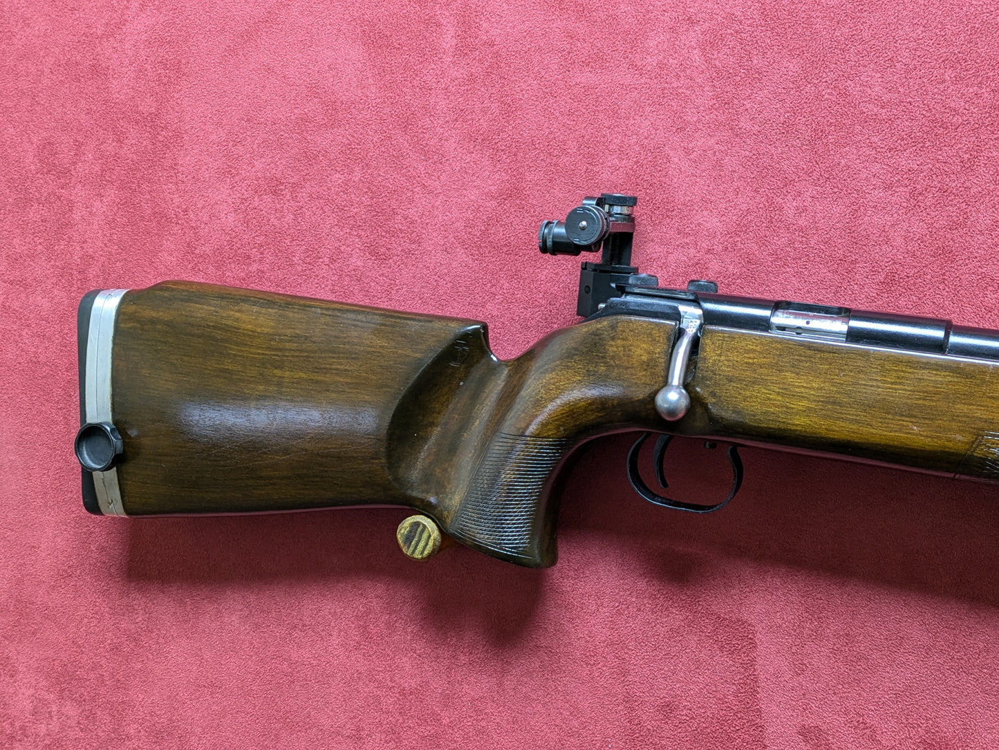 .22lr Vostok Target Rifle