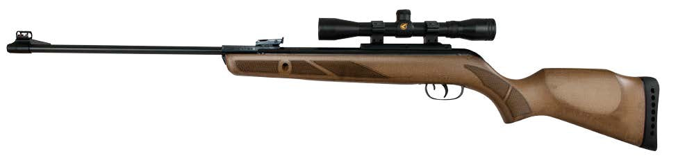 Gamo Hunter 440