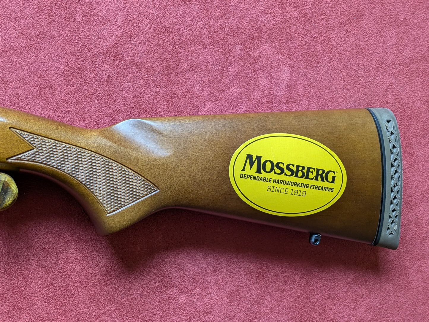 .410 Mossberg Pump Hushpower