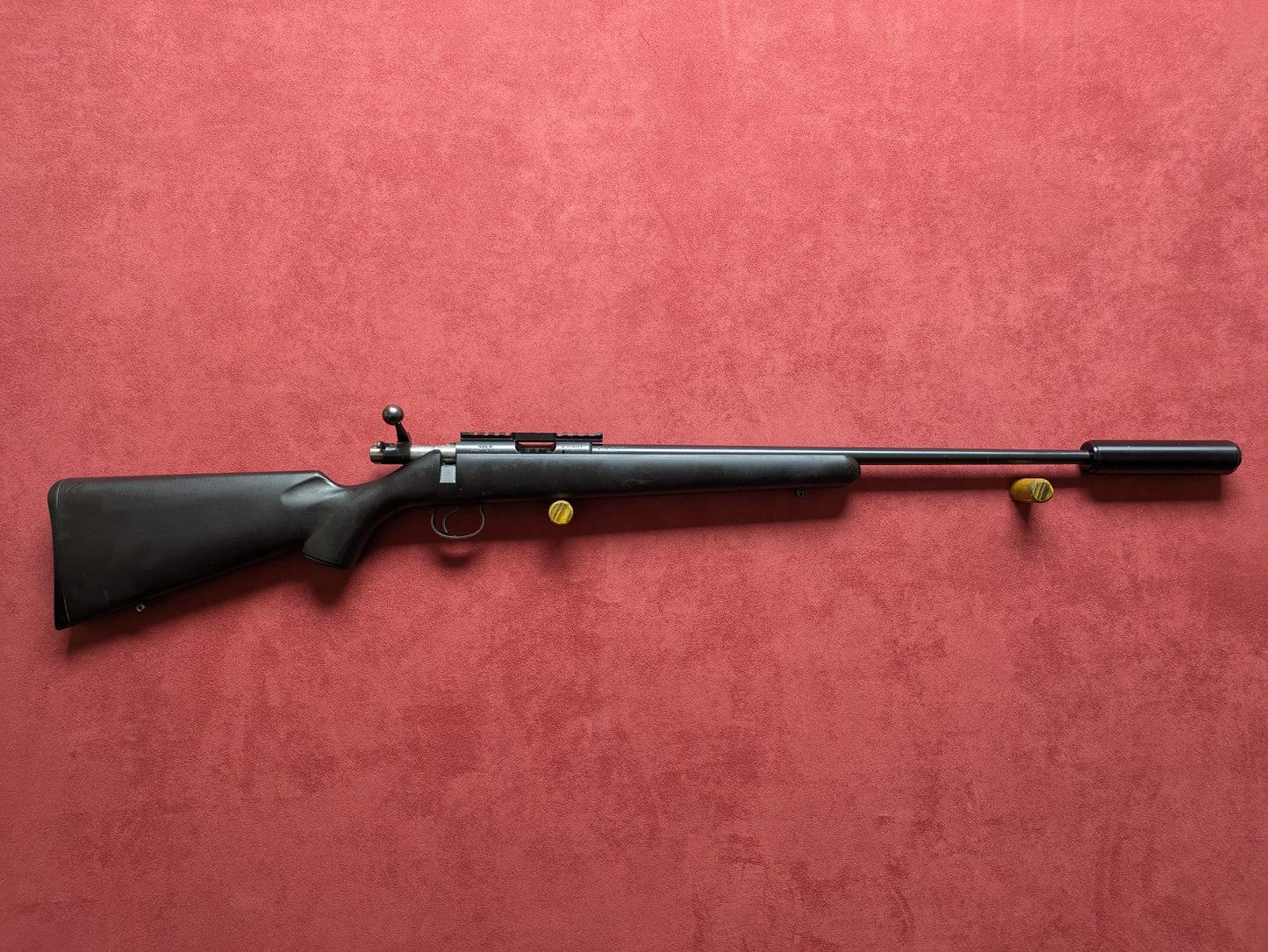 .17hmr CZ455 20" Barrel