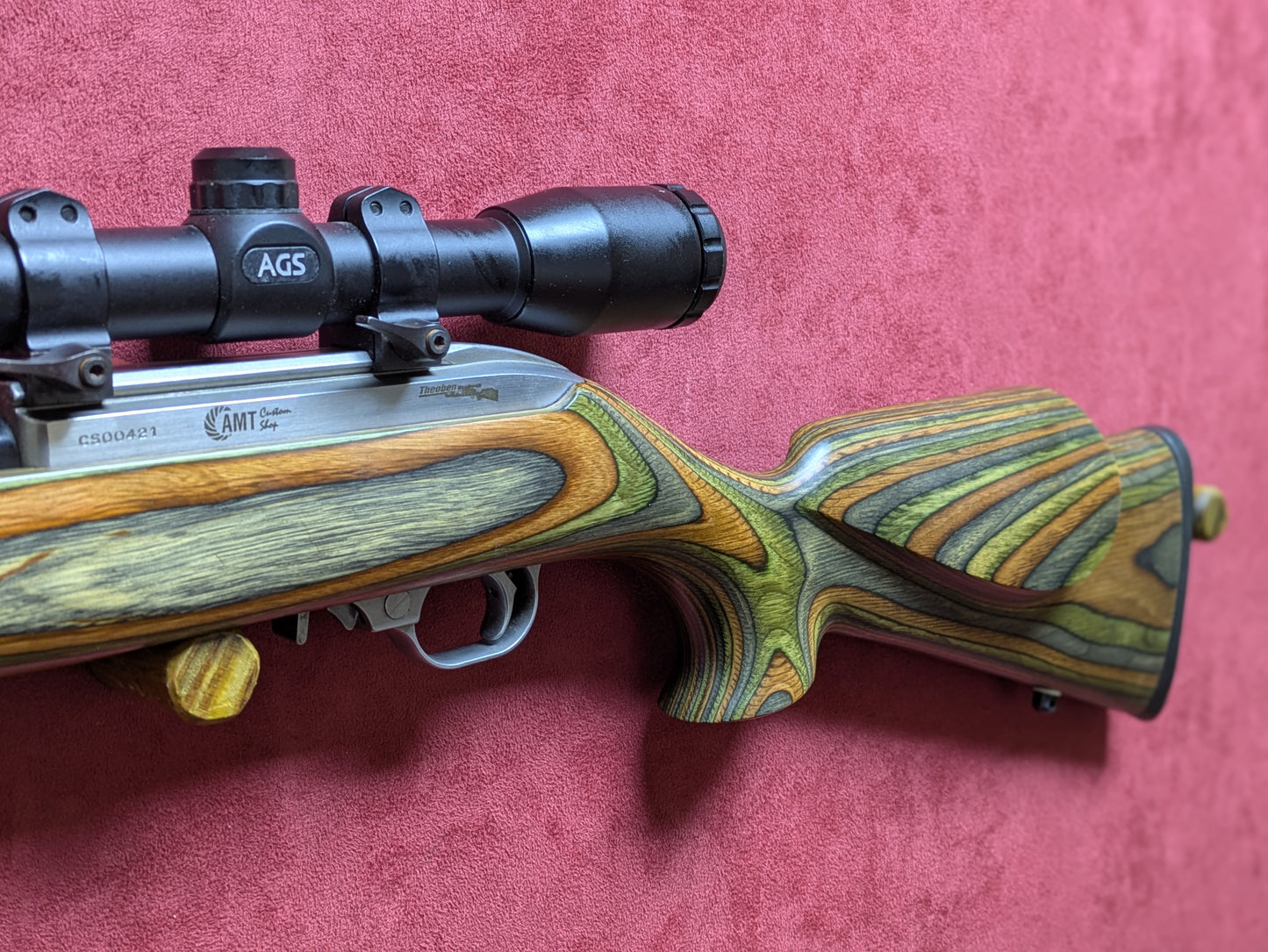 .22lr Ruger 10/22 AMT Custom
