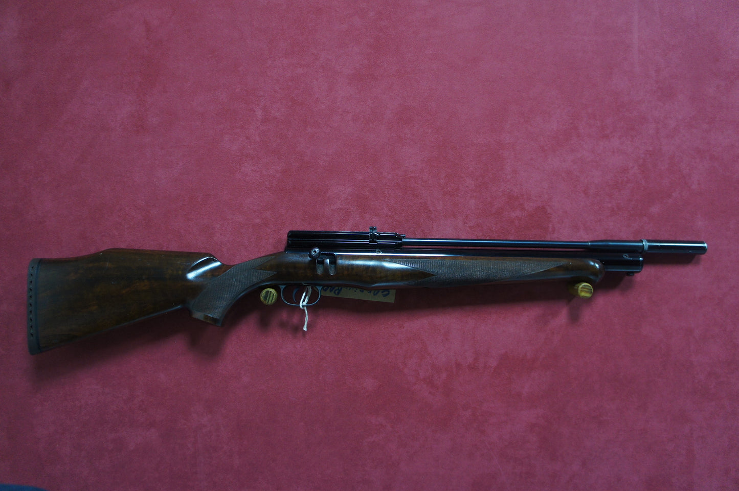 .22 RWS Excalibre