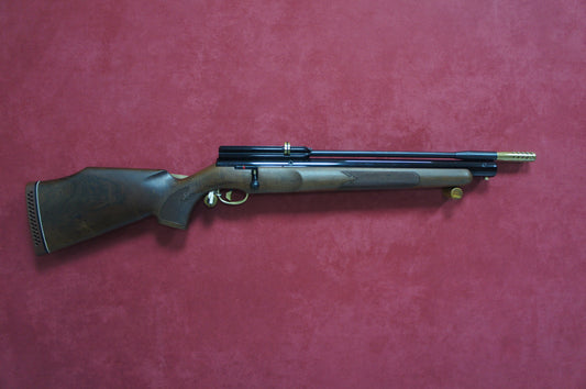 .22 Webley & Scott FX2000