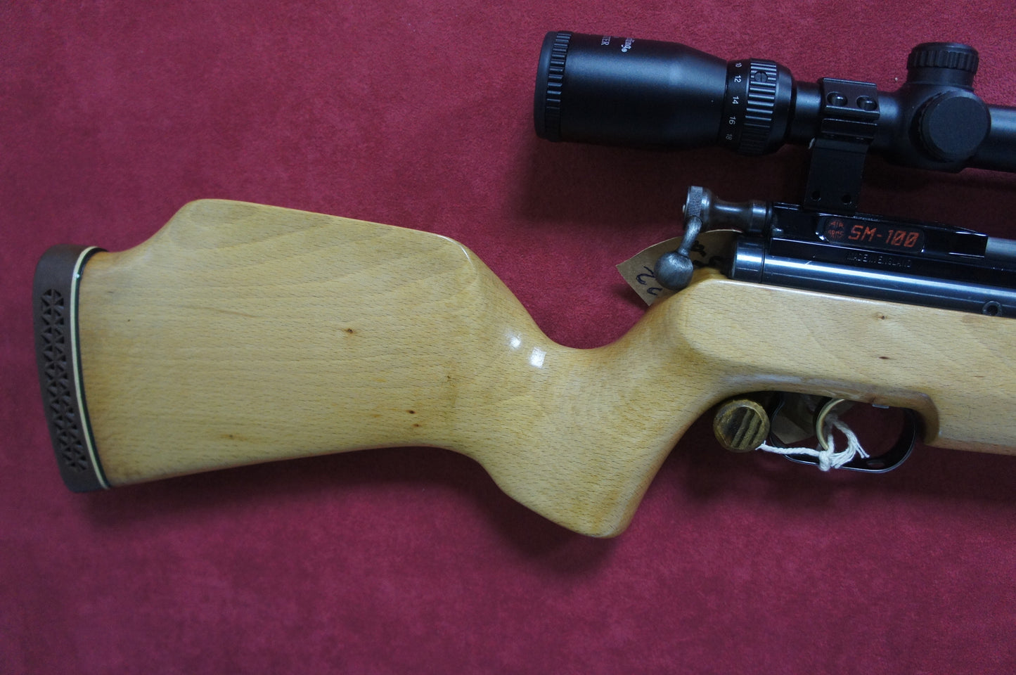 .22 Air Arms SM100