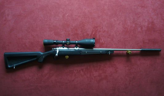 .22lr Ruger 77/22 19" Barrels