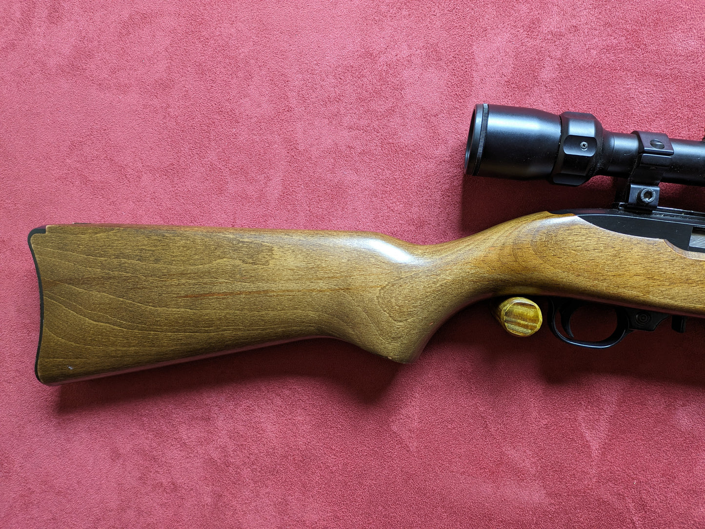 .22lr Ruger 10/22