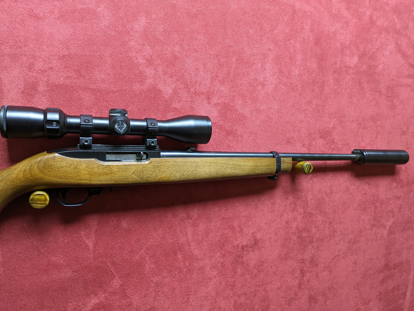 .22lr Ruger 10/22