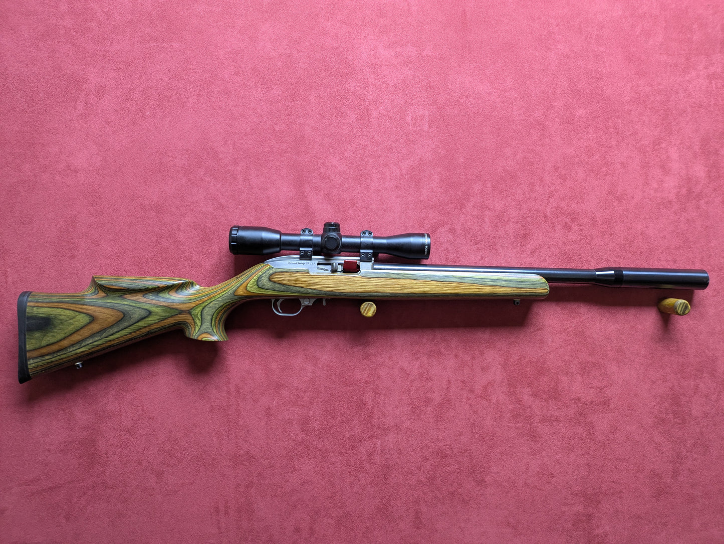 .22lr Ruger 10/22 AMT Custom