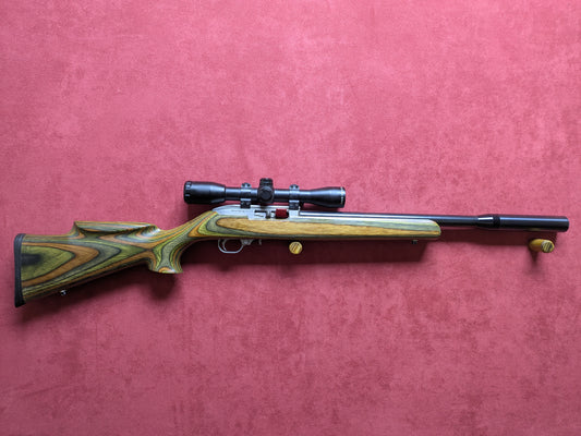 .22lr Ruger 10/22 AMT Custom