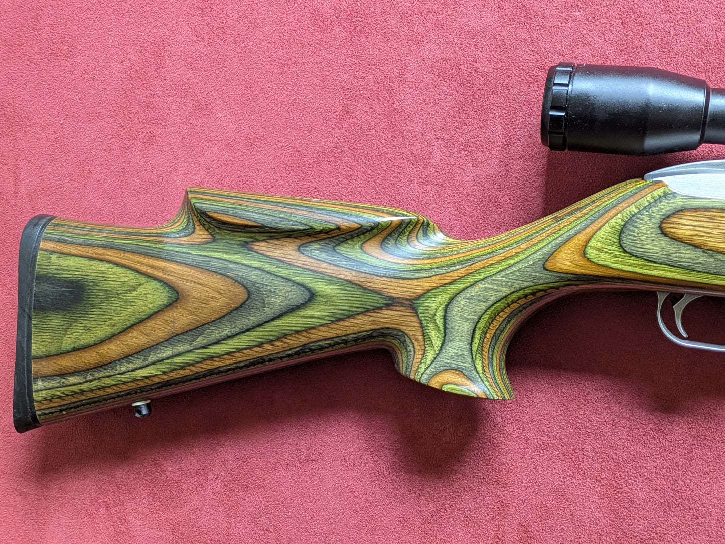 .22lr Ruger 10/22 AMT Custom