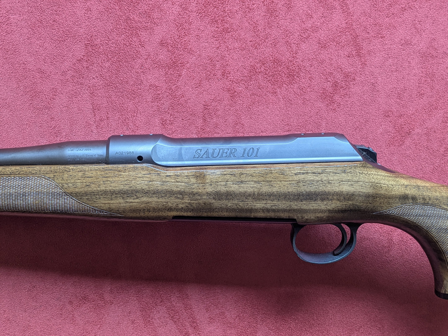 .243 Sauer 101 Classic 22" Barrel