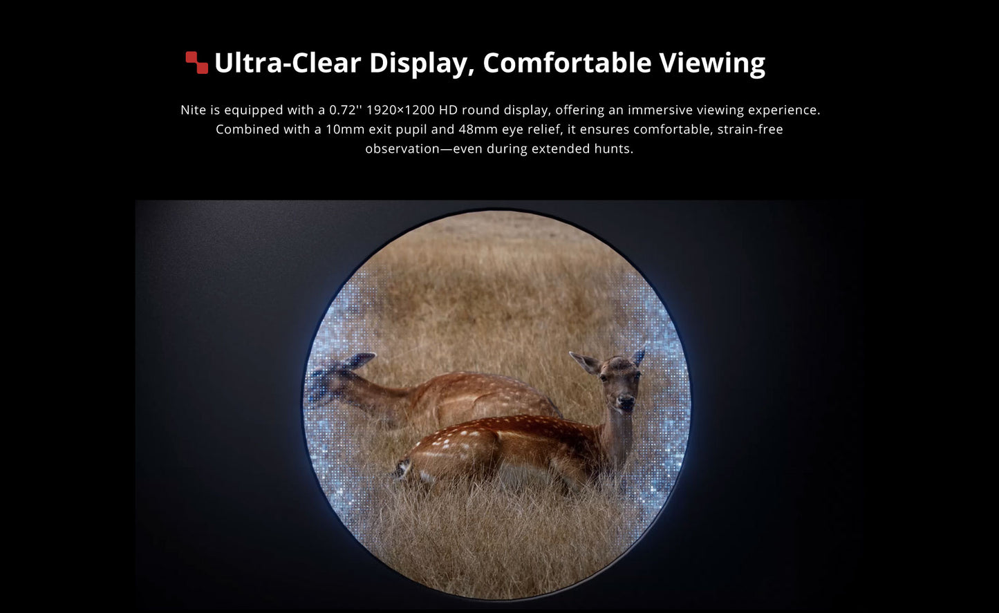 Nocpix D70R Day & Night scope